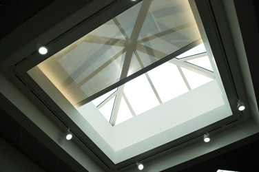 Skylight 2